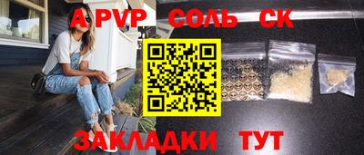 индика Бийск