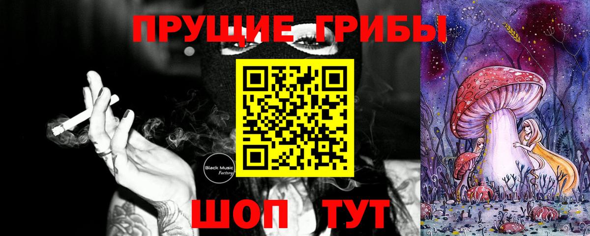 Балаково  Псилоцибиновые грибы Cubensis  Вход с VPN 